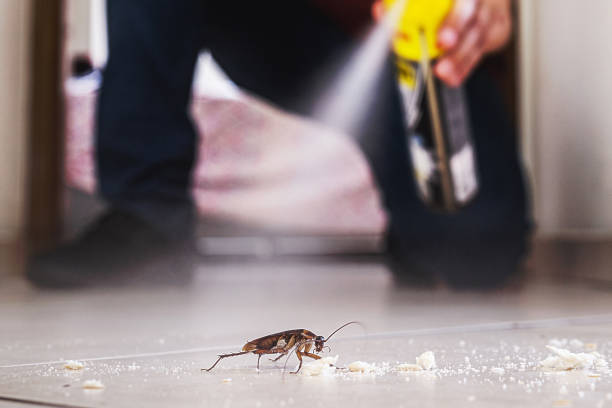 Gorman, TX Pest Control Company